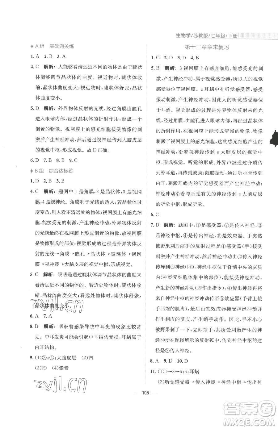 安徽教育出版社2023新編基礎(chǔ)訓(xùn)練七年級(jí)下冊(cè)生物蘇教版參考答案