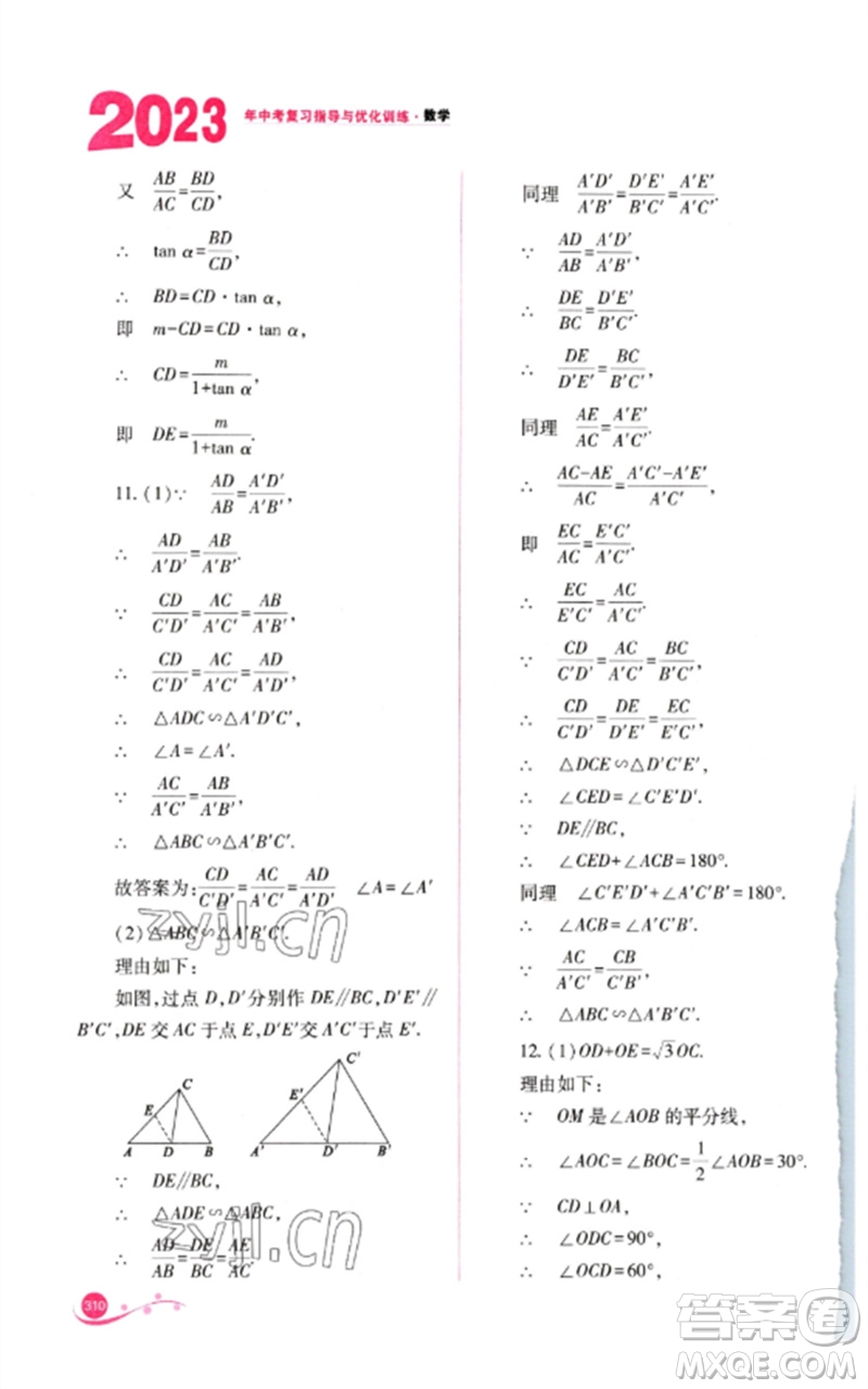 山西教育出版社2023中考復(fù)習(xí)指導(dǎo)與優(yōu)化訓(xùn)練九年級數(shù)學(xué)通用版參考答案