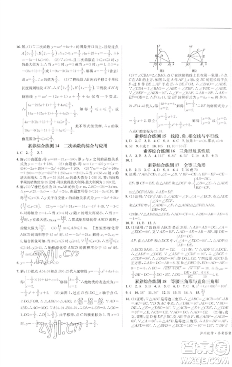 長江出版社2023中考復(fù)習總動員九年級數(shù)學通用版瀘州專版參考答案