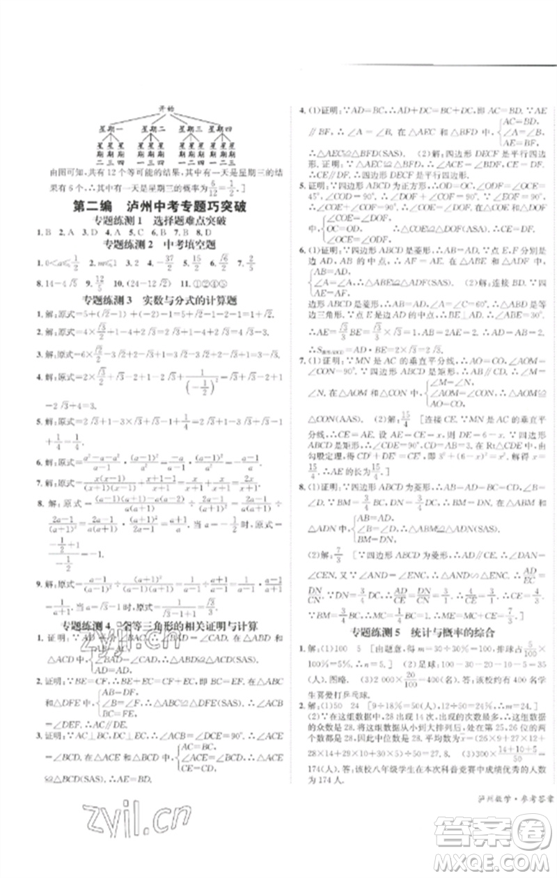 長江出版社2023中考復(fù)習總動員九年級數(shù)學通用版瀘州專版參考答案