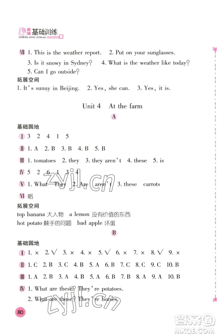 安徽少年兒童出版社2023新編基礎訓練四年級下冊英語人教版參考答案