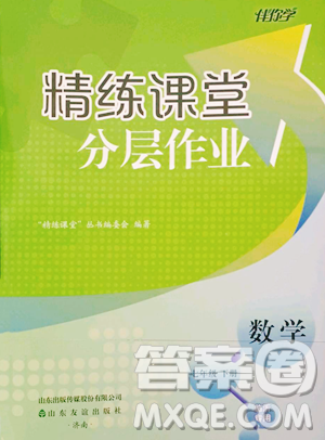 山東友誼出版社2023精練課堂分層作業(yè)七年級下冊數(shù)學(xué)人教版臨沂專版參考答案