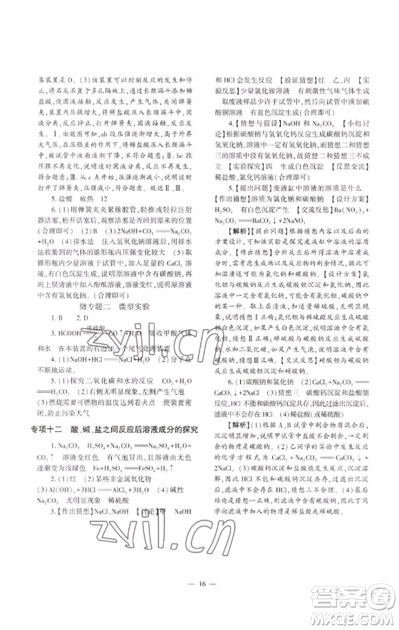 大象出版社2023中考復習精講與測試九年級化學通用版參考答案