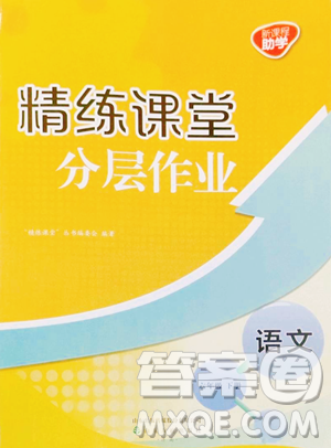 山東友誼出版社2023精練課堂分層作業(yè)六年級下冊語文人教版參考答案