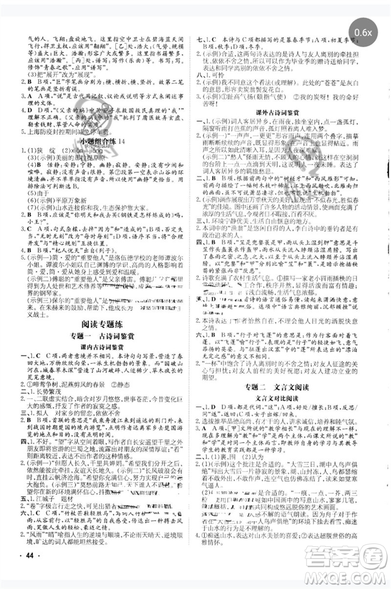 陜西人民教育出版社2023中考總復(fù)習(xí)導(dǎo)與練九年級語文人教版參考答案