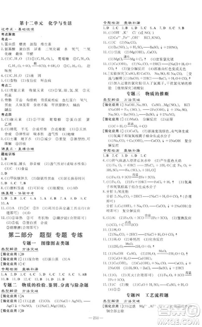 陜西人民教育出版社2023中考總復(fù)習(xí)導(dǎo)與練九年級(jí)化學(xué)精講冊(cè)人教版參考答案