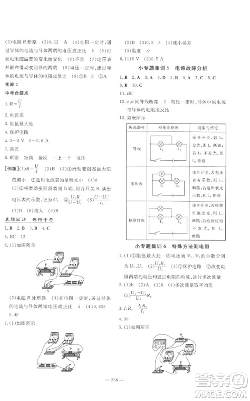 陜西人民教育出版社2023中考總復(fù)習(xí)導(dǎo)與練九年級(jí)物理精講冊(cè)人教版參考答案