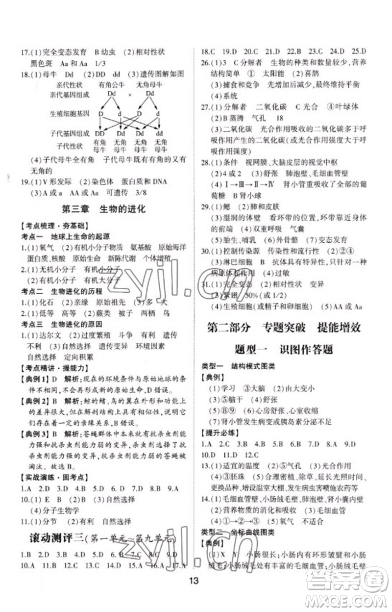 山東科學技術出版社2023初中總復習手冊九年級生物通用版參考答案