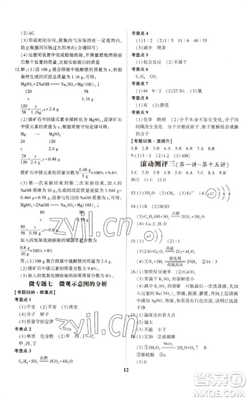 山東科學(xué)技術(shù)出版社2023初中總復(fù)習(xí)手冊(cè)九年級(jí)化學(xué)通用版參考答案