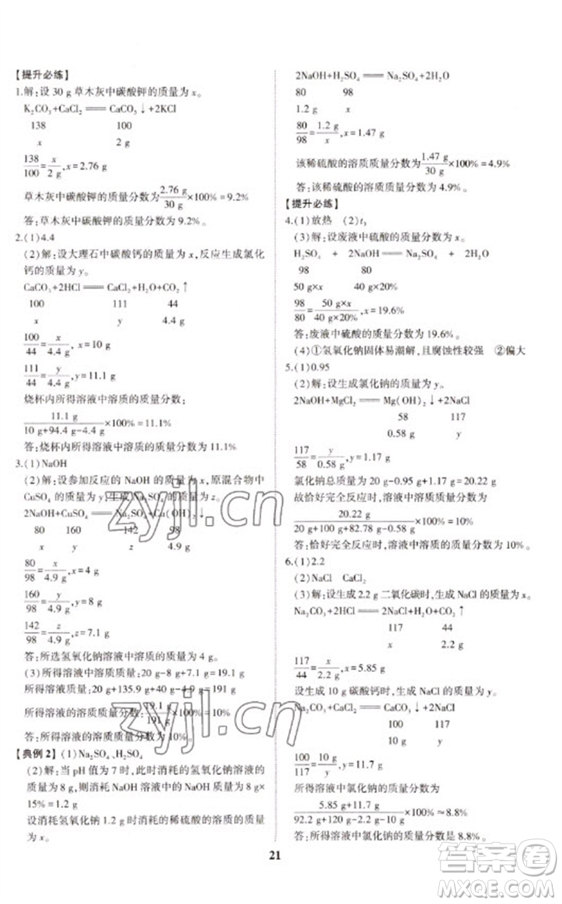 山東科學(xué)技術(shù)出版社2023初中總復(fù)習(xí)手冊(cè)九年級(jí)化學(xué)通用版參考答案