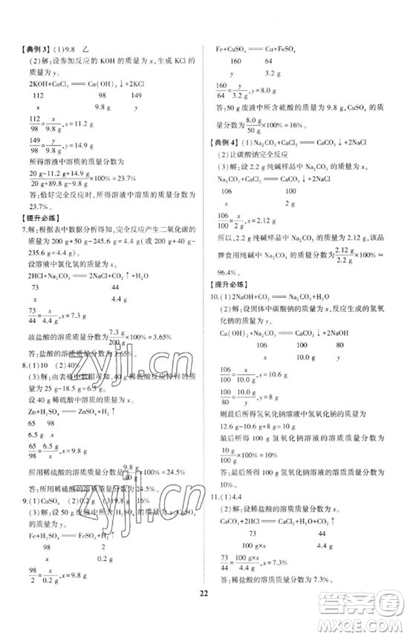 山東科學(xué)技術(shù)出版社2023初中總復(fù)習(xí)手冊(cè)九年級(jí)化學(xué)通用版參考答案