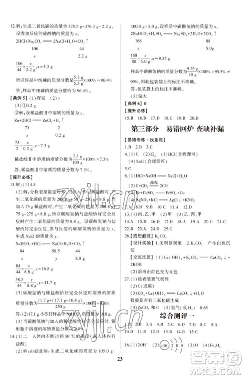 山東科學(xué)技術(shù)出版社2023初中總復(fù)習(xí)手冊(cè)九年級(jí)化學(xué)通用版參考答案