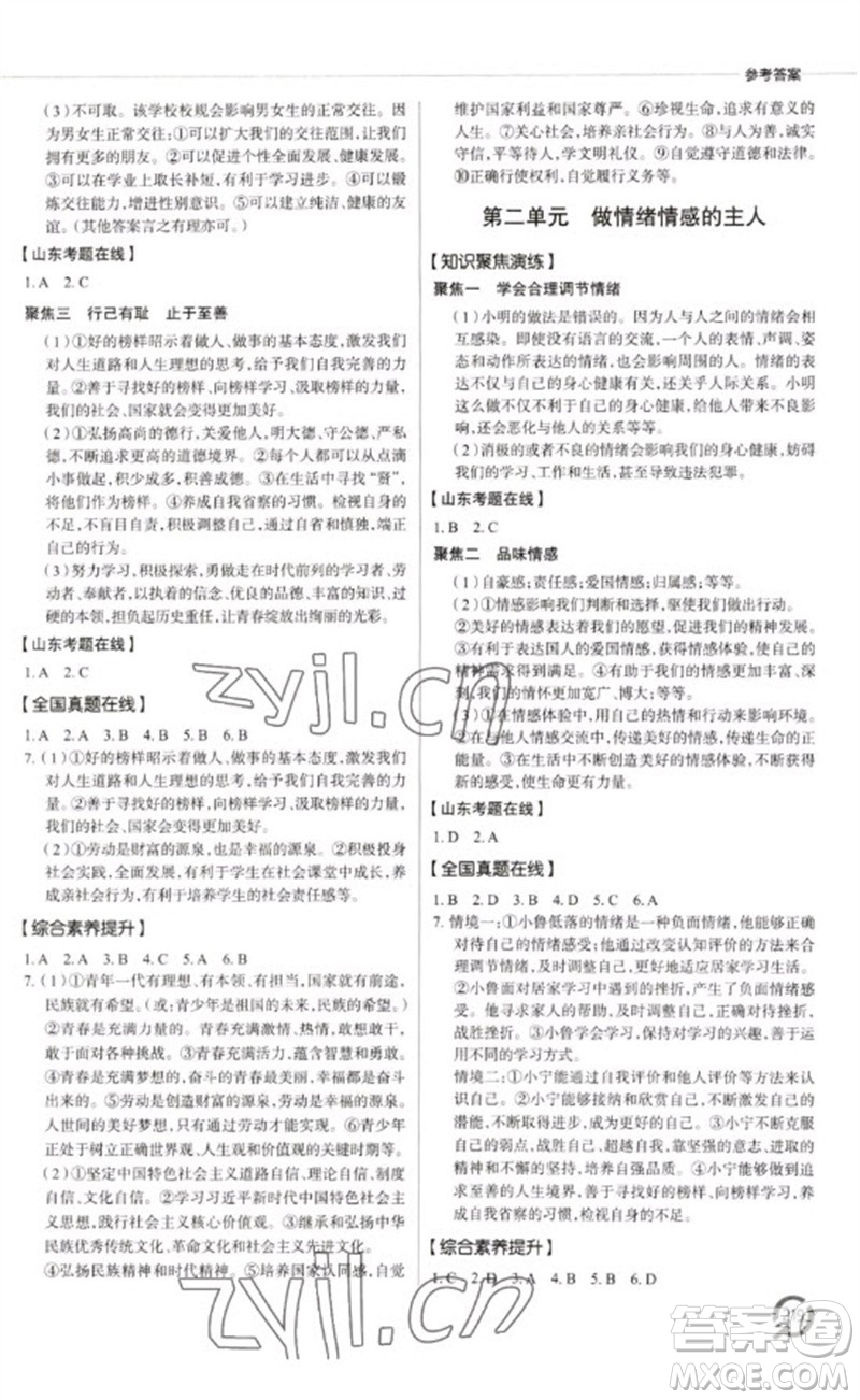 青島出版社2023初中總復(fù)習(xí)手冊九年級道德與法治通用版參考答案