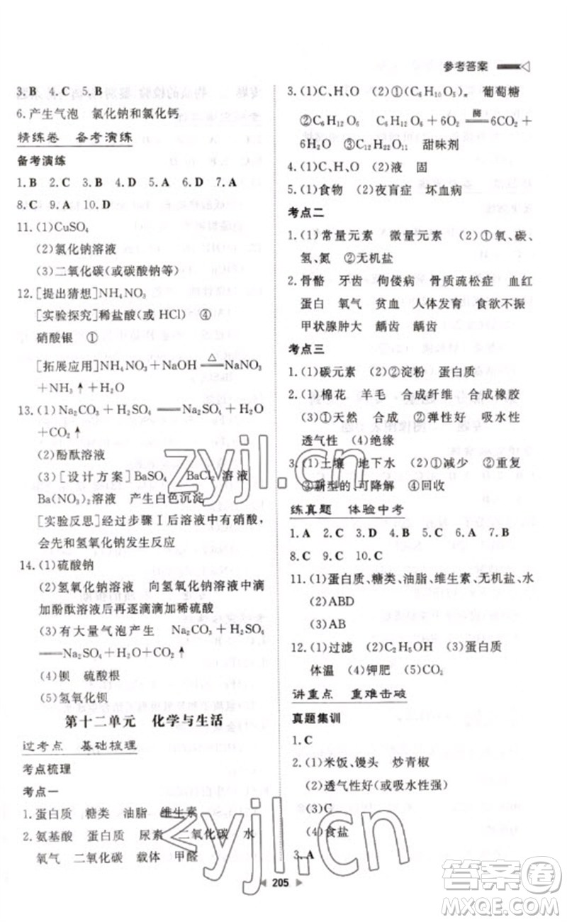 新世紀出版社2023初中總復習手冊九年級化學通用版參考答案