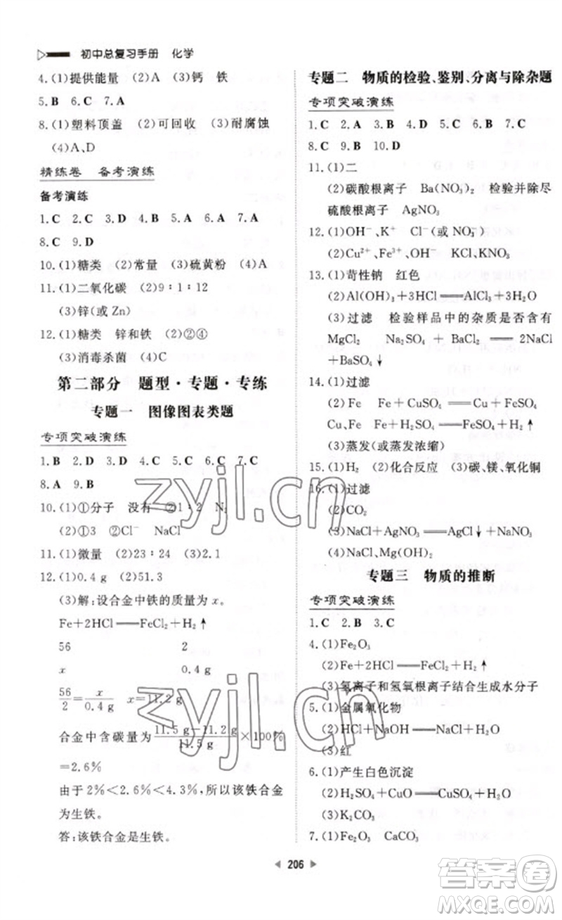 新世紀出版社2023初中總復習手冊九年級化學通用版參考答案