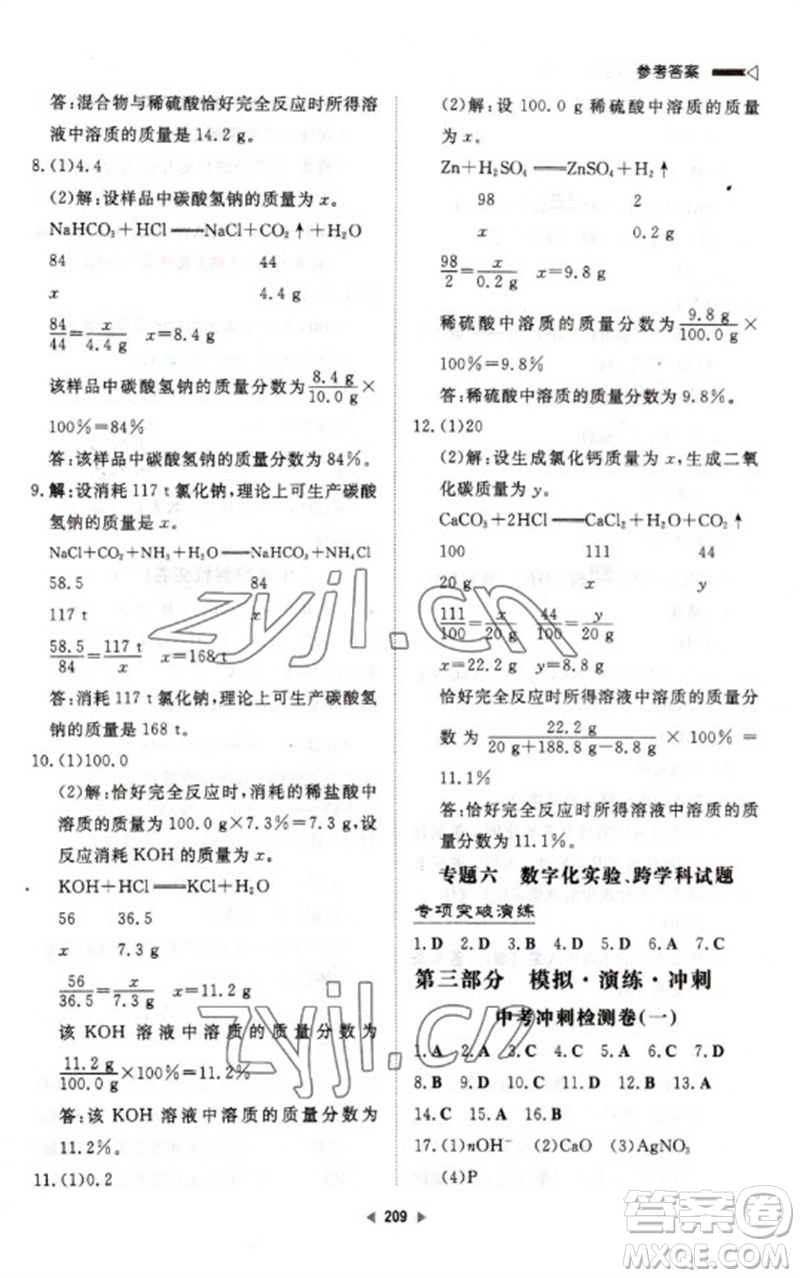 新世紀出版社2023初中總復習手冊九年級化學通用版參考答案