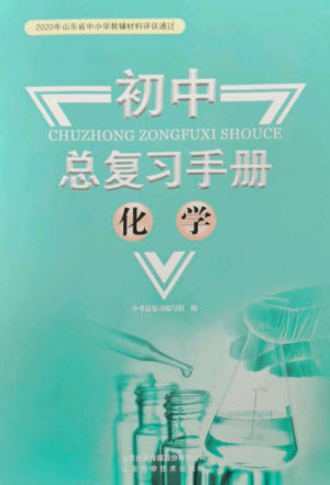 山東科學(xué)技術(shù)出版社2023初中總復(fù)習(xí)手冊(cè)九年級(jí)化學(xué)通用版參考答案