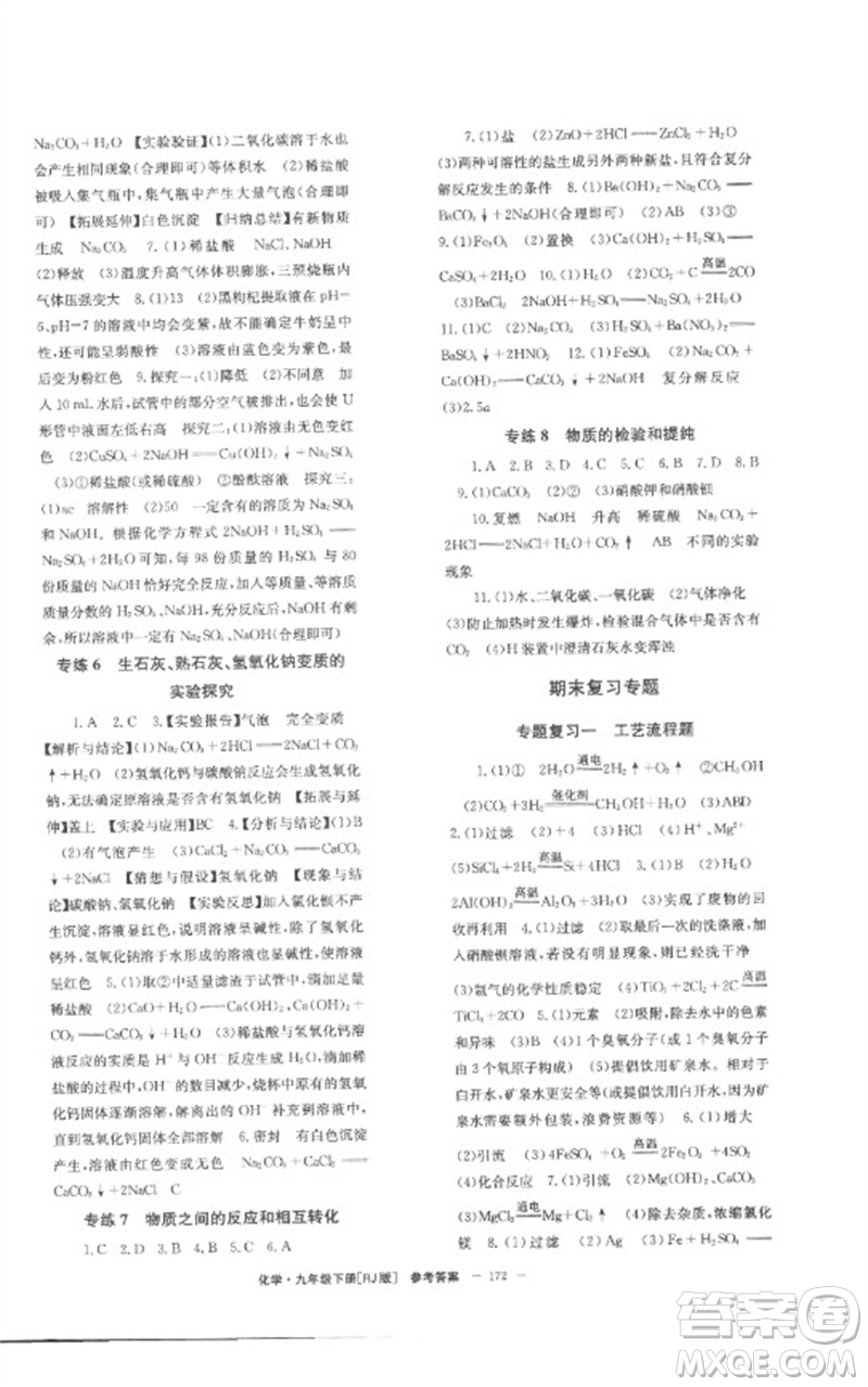 湖南教育出版社2023全效學(xué)習(xí)同步學(xué)練測(cè)九年級(jí)化學(xué)下冊(cè)人教版參考答案