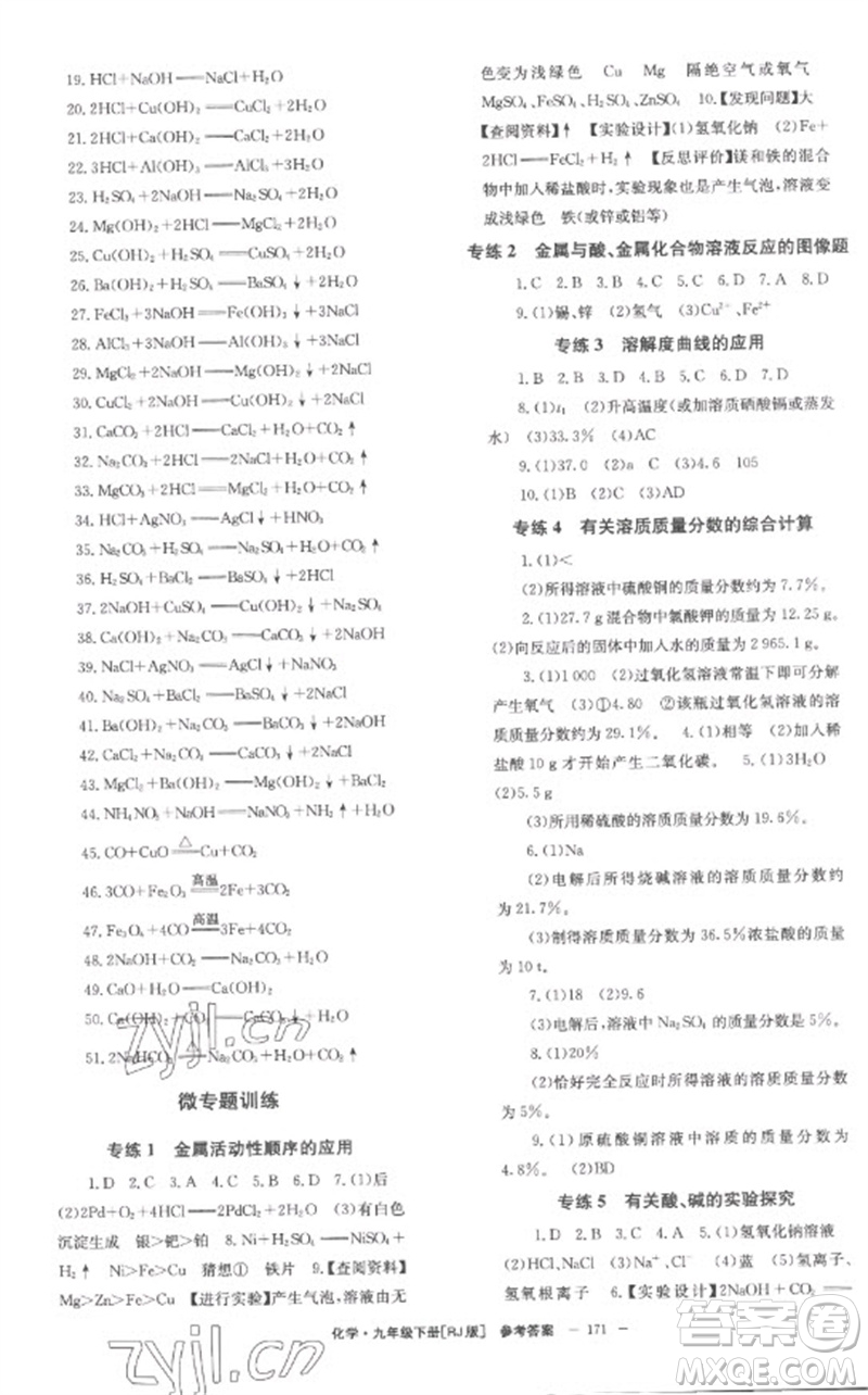 湖南教育出版社2023全效學(xué)習(xí)同步學(xué)練測(cè)九年級(jí)化學(xué)下冊(cè)人教版參考答案