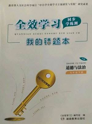 湖南教育出版社2023全效學(xué)習(xí)同步學(xué)練測九年級(jí)道德與法治下冊(cè)人教版參考答案