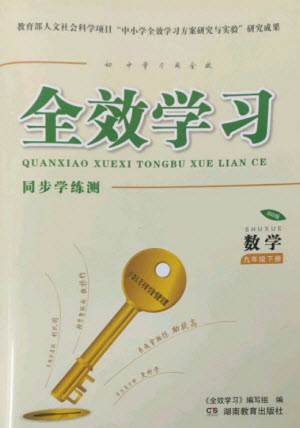 湖南教育出版社2023全效學(xué)習(xí)同步學(xué)練測九年級數(shù)學(xué)下冊北師大版參考答案