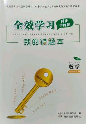 湖南教育出版社2023全效學(xué)習(xí)同步學(xué)練測七年級數(shù)學(xué)下冊人教版參考答案