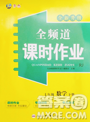 合肥工業(yè)大學(xué)出版社2023全頻道課時作業(yè)七年級下冊數(shù)學(xué)人教版參考答案