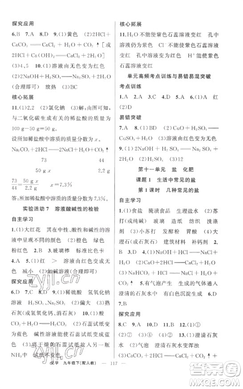 新疆青少年出版社2023原創(chuàng)新課堂九年級化學(xué)下冊人教版參考答案