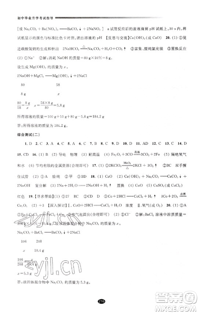 江蘇鳳凰教育出版社2023初中畢業(yè)升學(xué)考試指導(dǎo)九年級(jí)化學(xué)通用版參考答案