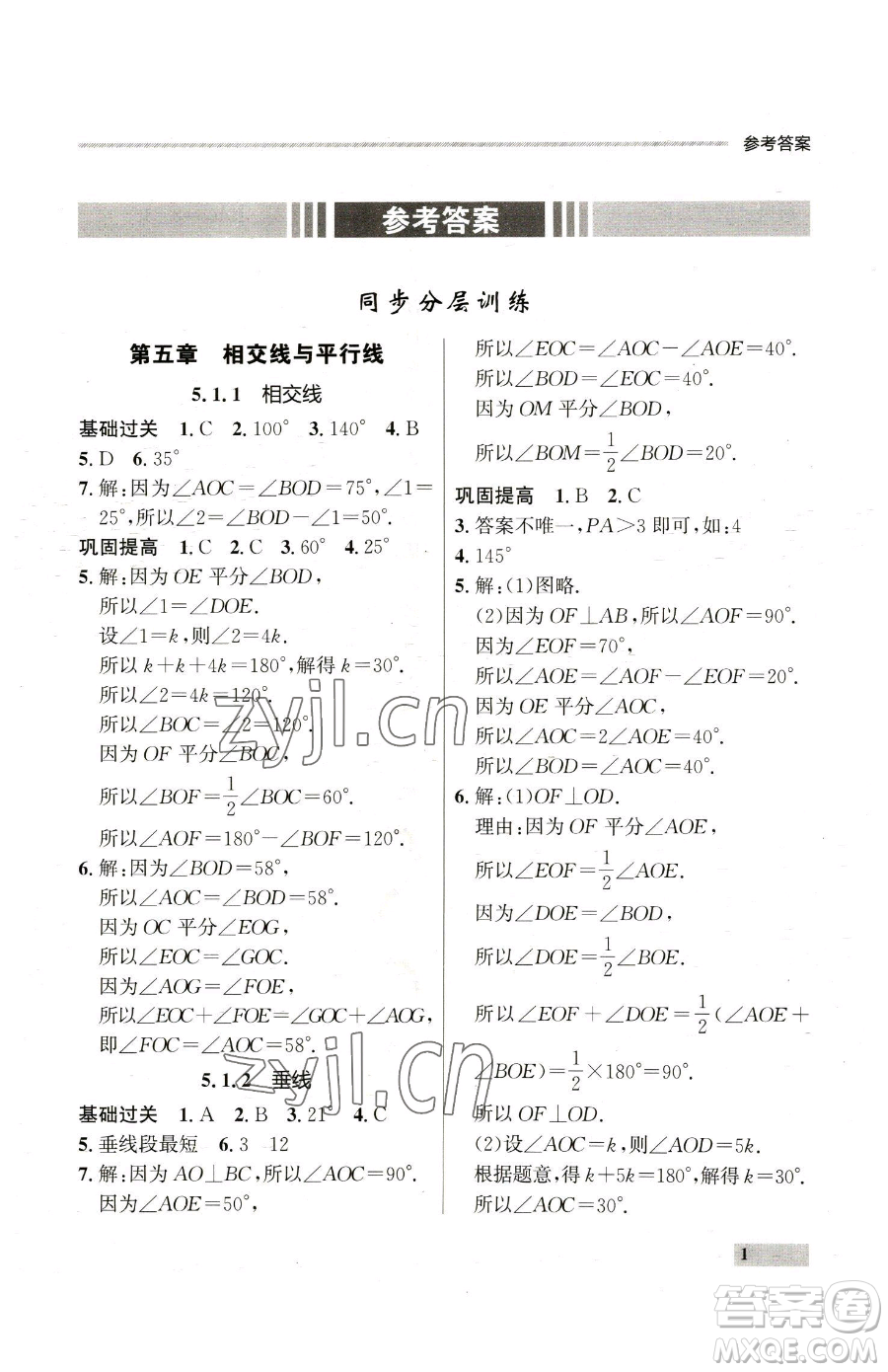 延邊大學出版社2023點石成金金牌每課通七年級下冊數(shù)學人教版參考答案