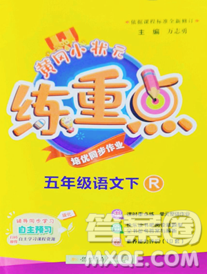 龍門書局2023黃岡小狀元練重點培優(yōu)同步作業(yè)五年級下冊語文人教版參考答案