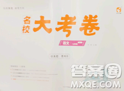 延邊大學(xué)出版社2023名校大考卷七年級下冊語文人教版大連專版參考答案