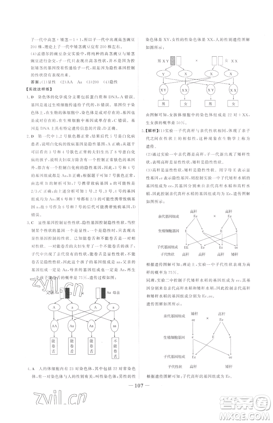 河北少年兒童出版社2023世紀(jì)金榜金榜學(xué)案八年級下冊生物人教版參考答案