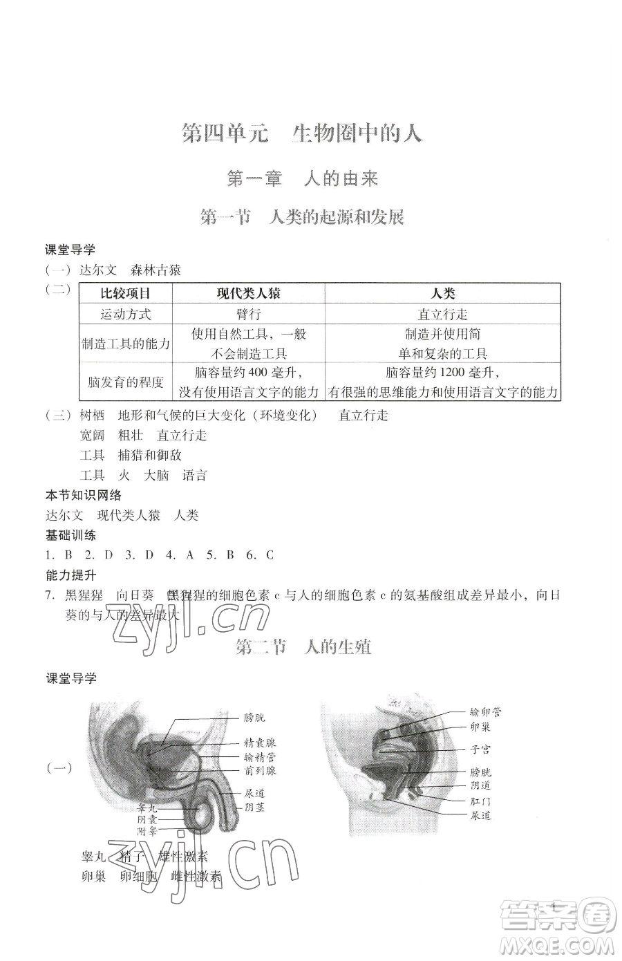 廣州出版社2023陽光學(xué)業(yè)評價七年級下冊生物人教版參考答案