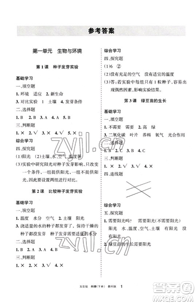 寧夏人民教育出版社2023學(xué)習(xí)之友五年級科學(xué)下冊教科版參考答案