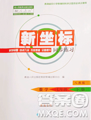 青海人民出版社2023新坐標同步練習七年級下冊數(shù)學人教版青海專用參考答案