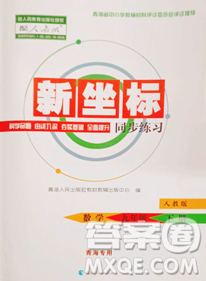 青海人民出版社2023新坐標(biāo)同步練習(xí)九年級(jí)下冊(cè)數(shù)學(xué)人教版青海專用參考答案