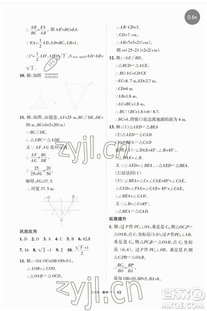 寧夏人民教育出版社2023學(xué)習(xí)之友九年級數(shù)學(xué)下冊人教版參考答案