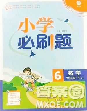 首都師范大學出版社2023小學必刷題六年級下冊數(shù)學人教版參考答案