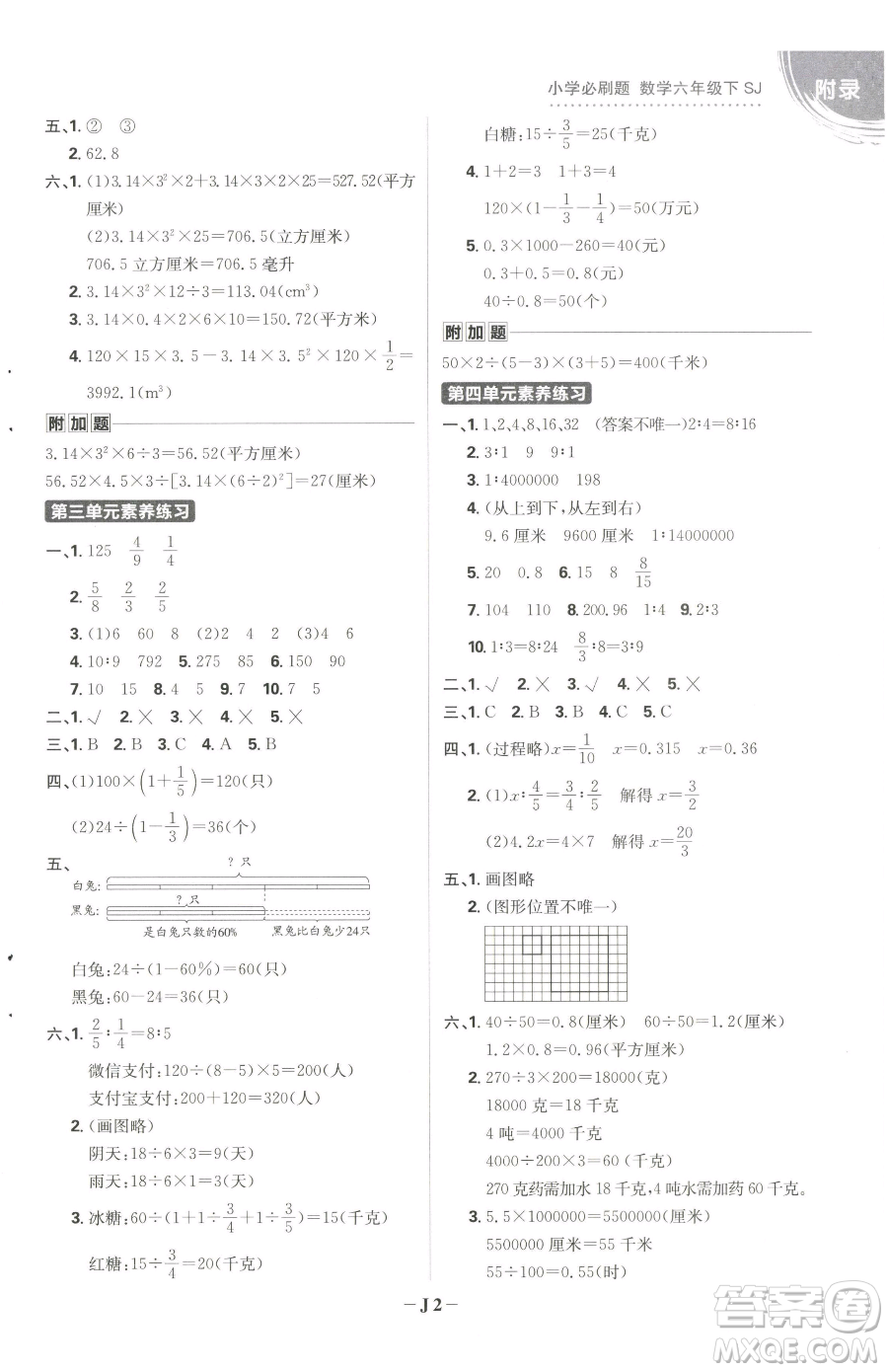 首都師范大學出版社2023小學必刷題六年級下冊數(shù)學人教版參考答案