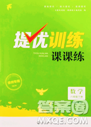 南京大學出版社2023提優(yōu)訓練課課練八年級下冊數(shù)學蘇科版徐州專版參考答案