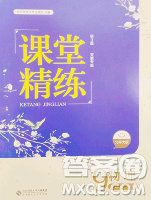 北京師范大學出版社2023課堂精練九年級下冊物理北師大版安徽專版參考答案