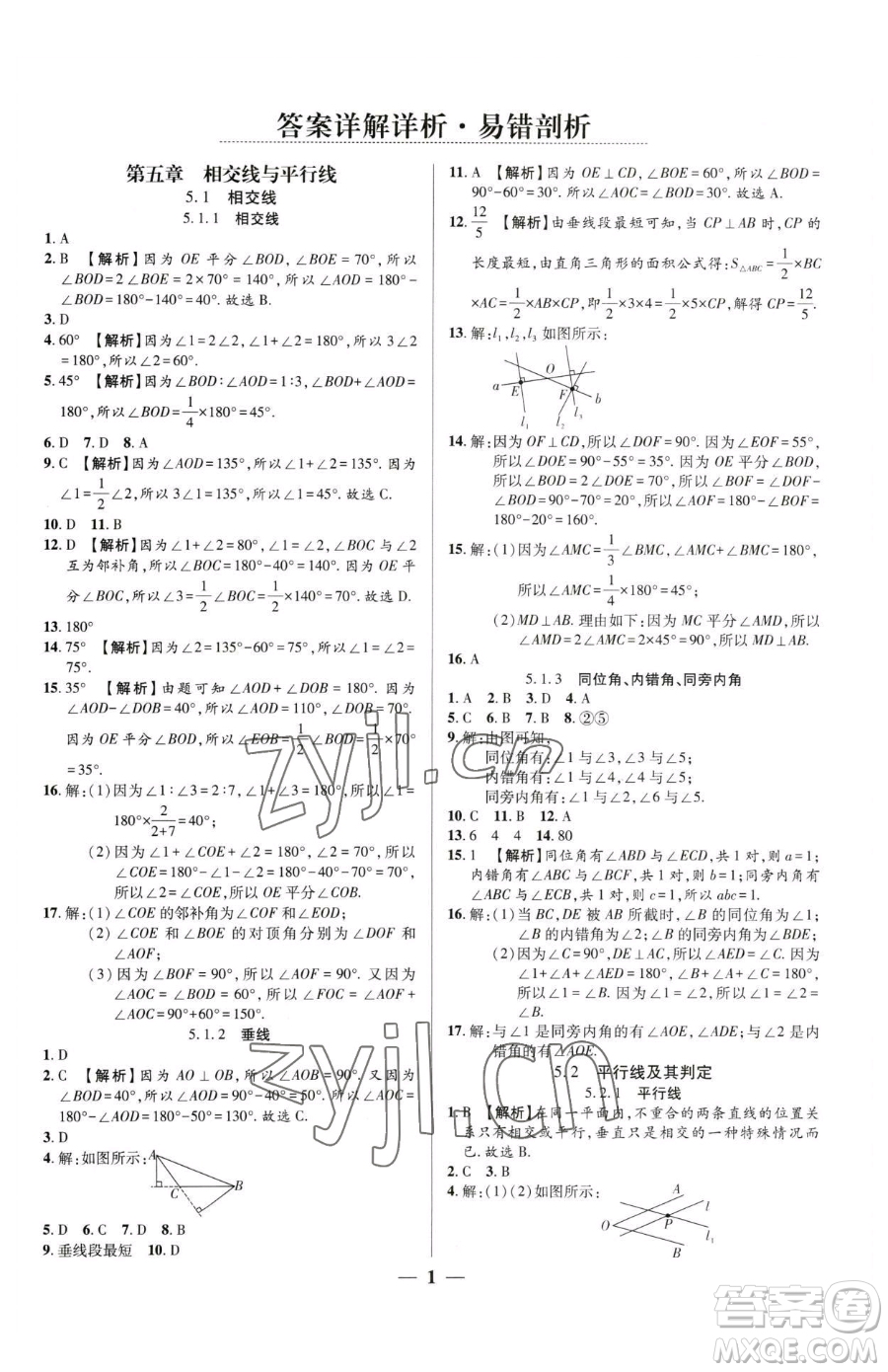 天津科學(xué)技術(shù)出版社2023追夢之旅大先生七年級下冊數(shù)學(xué)人教版河南專版參考答案