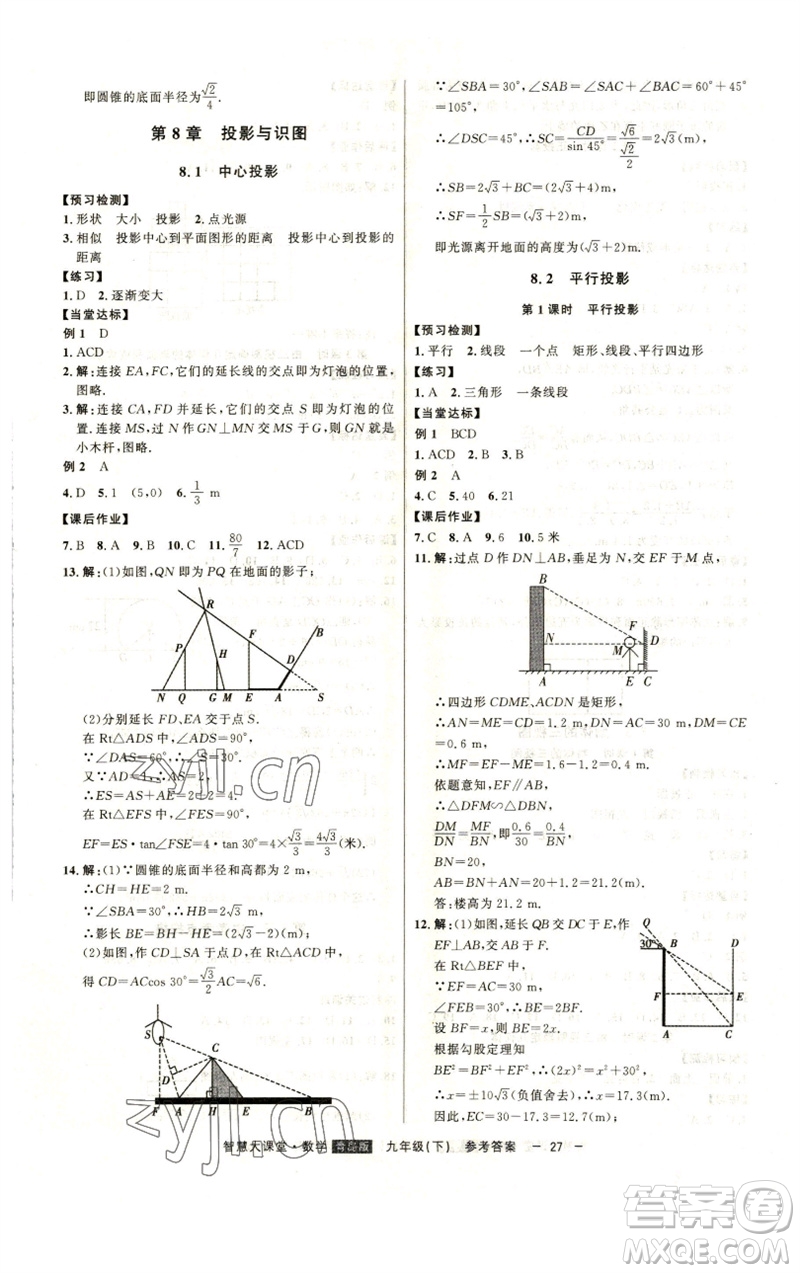 吉林人民出版社2023初中新課標(biāo)名師學(xué)案智慧大課堂九年級(jí)數(shù)學(xué)下冊(cè)青島版參考答案