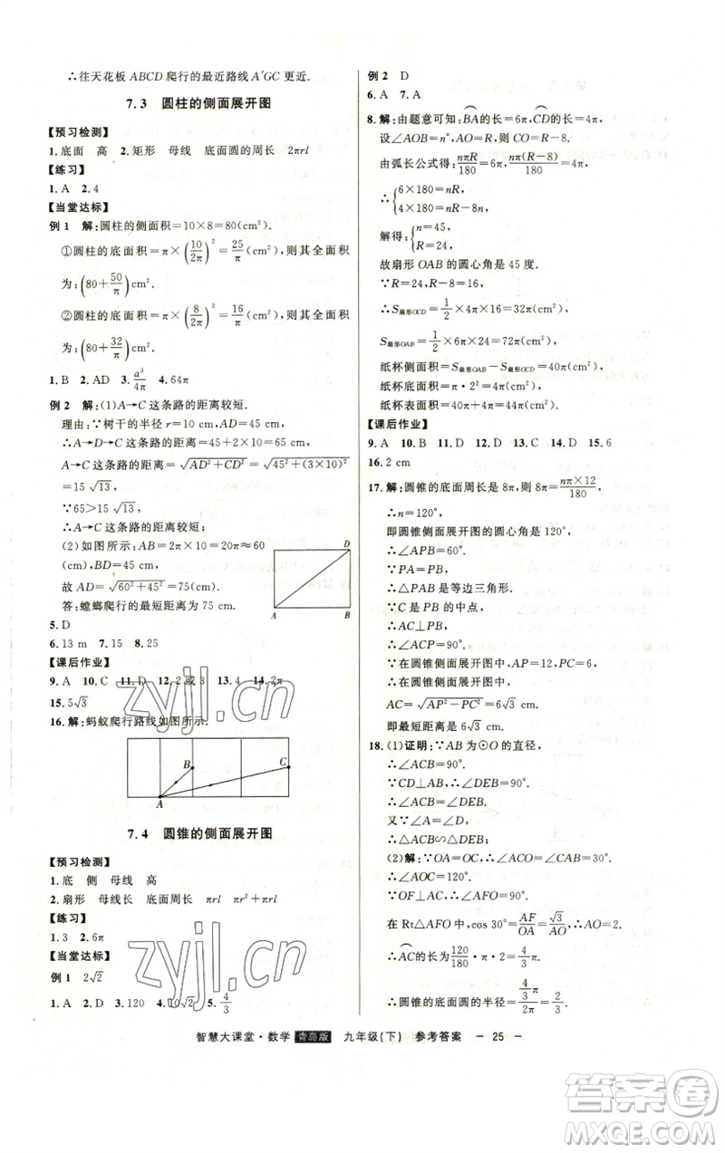 吉林人民出版社2023初中新課標(biāo)名師學(xué)案智慧大課堂九年級(jí)數(shù)學(xué)下冊(cè)青島版參考答案