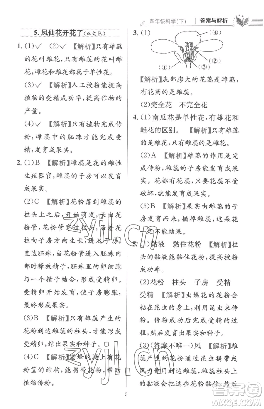 陜西人民教育出版社2023小學(xué)教材全練四年級下冊科學(xué)教科版參考答案