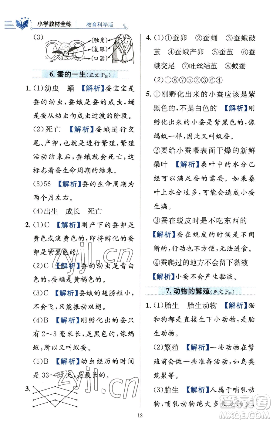 陜西人民教育出版社2023小學(xué)教材全練三年級(jí)下冊(cè)科學(xué)教科版參考答案