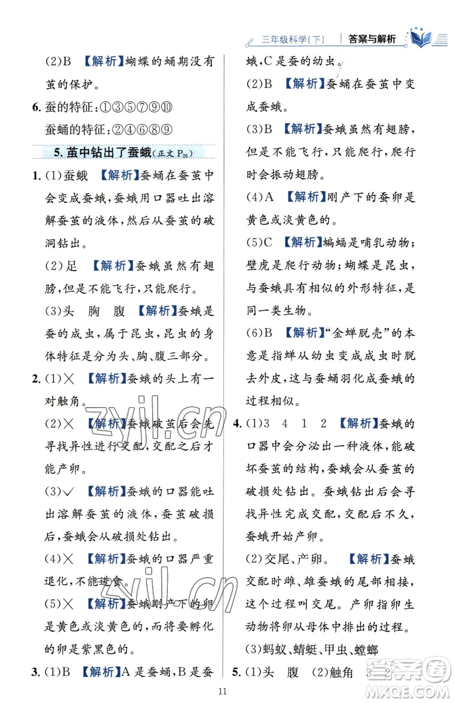 陜西人民教育出版社2023小學(xué)教材全練三年級(jí)下冊(cè)科學(xué)教科版參考答案