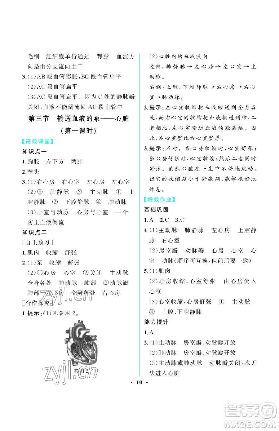 人民教育出版社2023同步解析與測評七年級下冊生物學人教版重慶專版參考答案