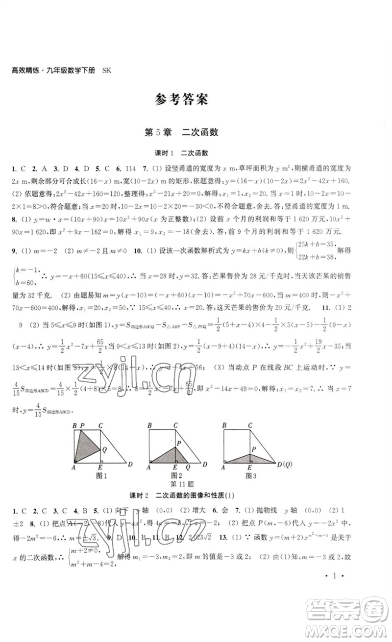 安徽人民出版社2023高效精練九年級數(shù)學(xué)下冊蘇科版參考答案